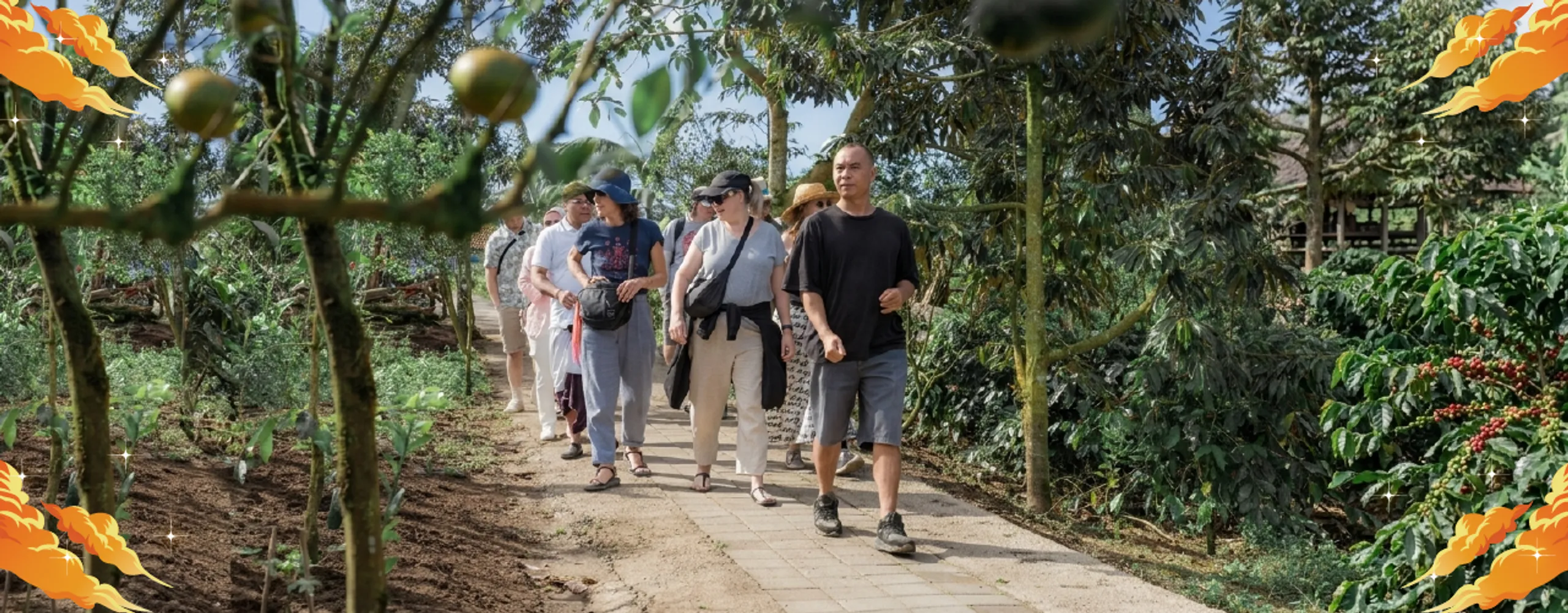 Arca Coffee and Kintamani Farm Tour